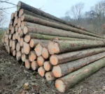Fichtenstammholz – 1 LKW-Ladung (50 rm) – PEFC-zertifiziert
