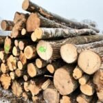 Kiefernstammholz – 1/2 LKW-Ladung (25 rm) – PEFC-zertifiziert