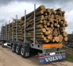 Nadelholzstammholz (gemischt) – 1/2 LKW-Ladung (25 rm) – PEFC-zertifiziert
