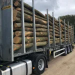 Nadelholzstammholz (gemischt) – 4 LKW-Ladungen (200 rm) – PEFC