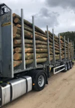 Nadelholzstammholz (gemischt) – 1/2 LKW-Ladung (25 rm) – PEFC-zertifiziert – Bild 2
