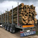 Gemengd Naaldhout Stamhout – 3 vrachtwagenladingen (150 rm) – PEFC-gecertificeerd